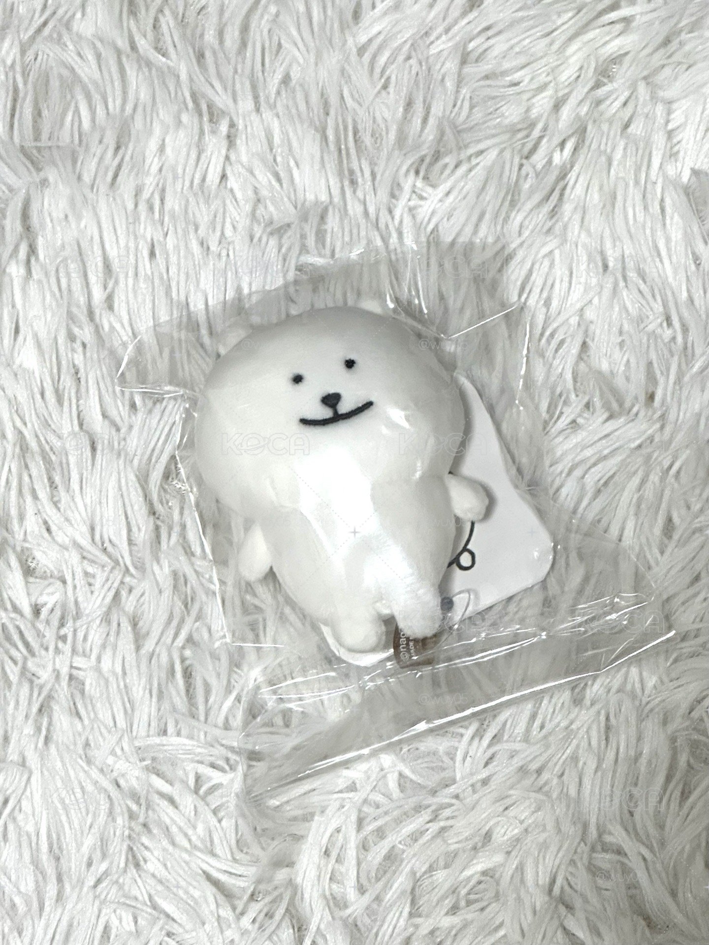 謎笑熊（預購）