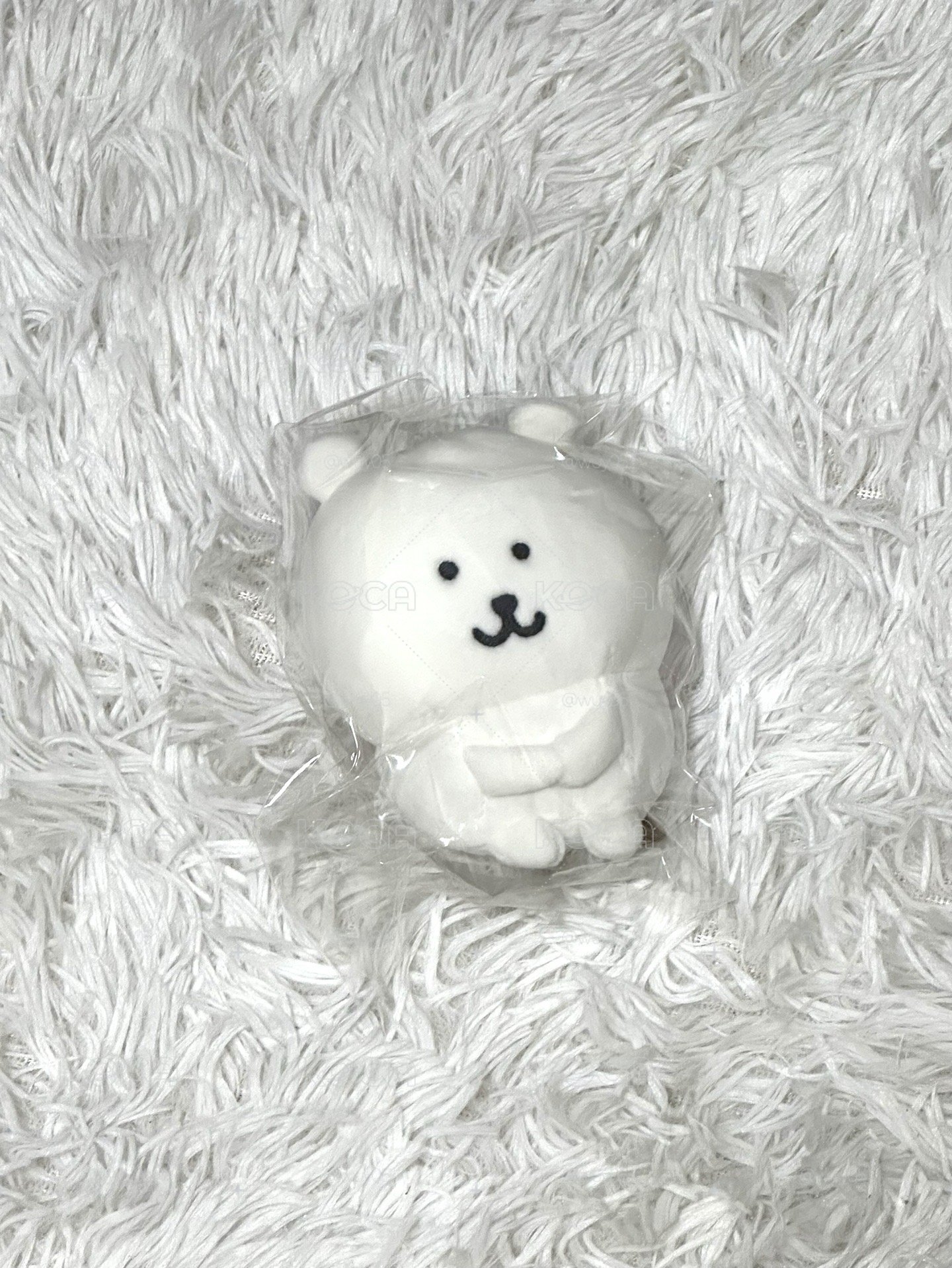 揣手熊（現貨）