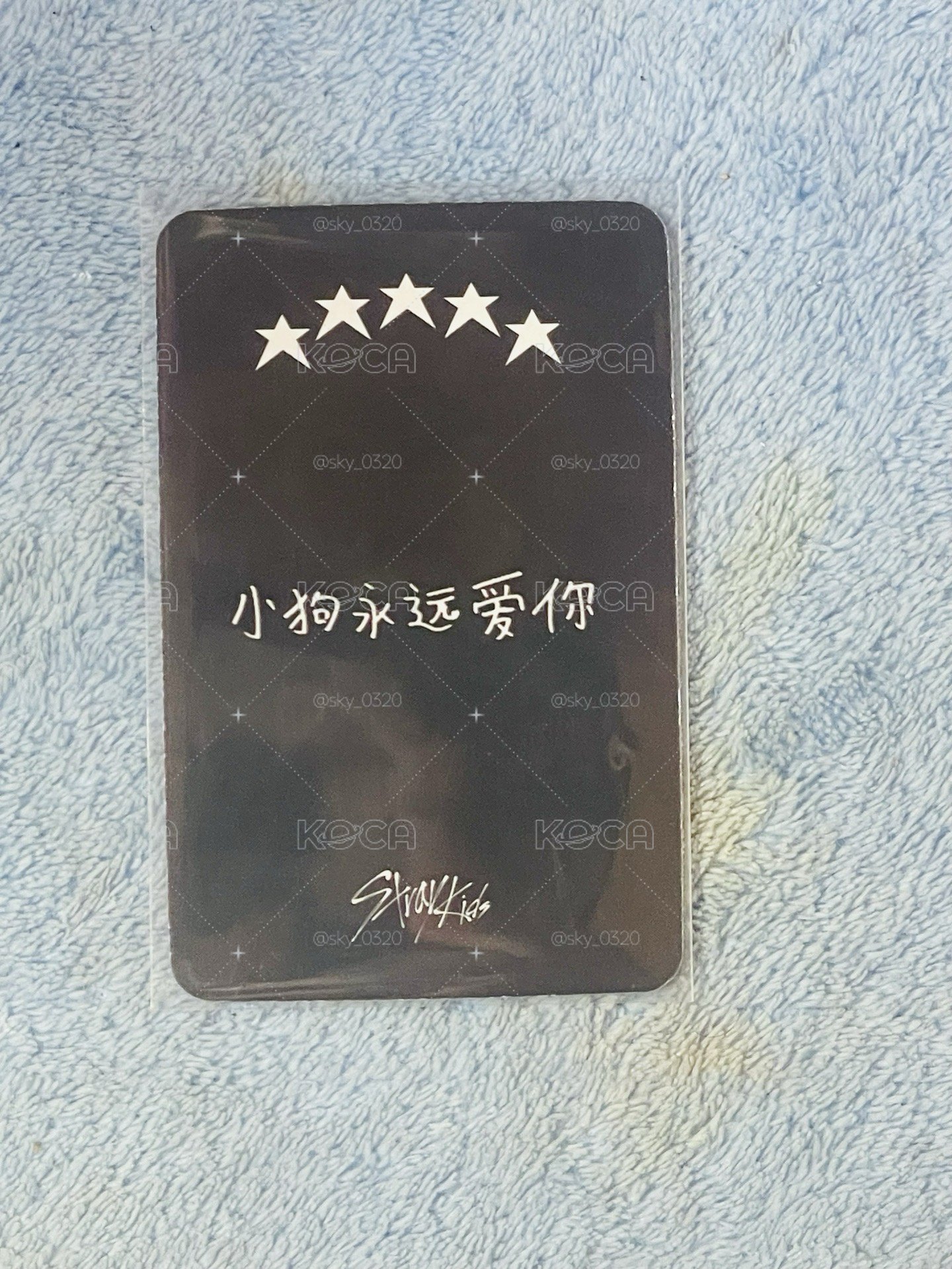 玟中背（小狗永遠愛你）