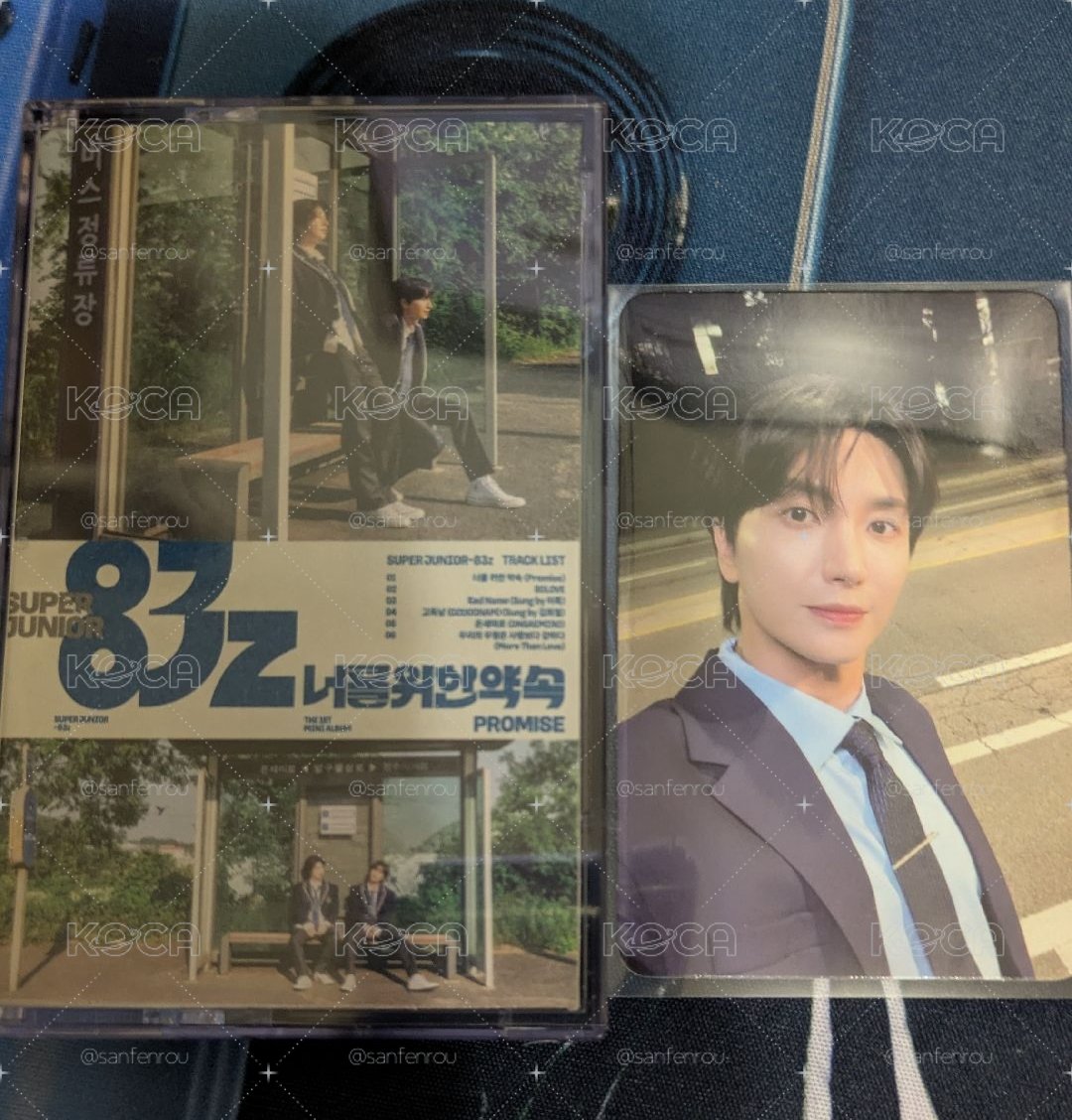 83z promise 迷一 卡帶版 無雙人小卡