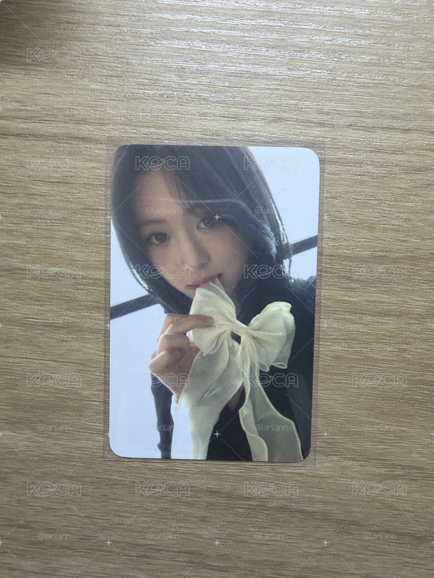 蝴蝶結可愛wm賢