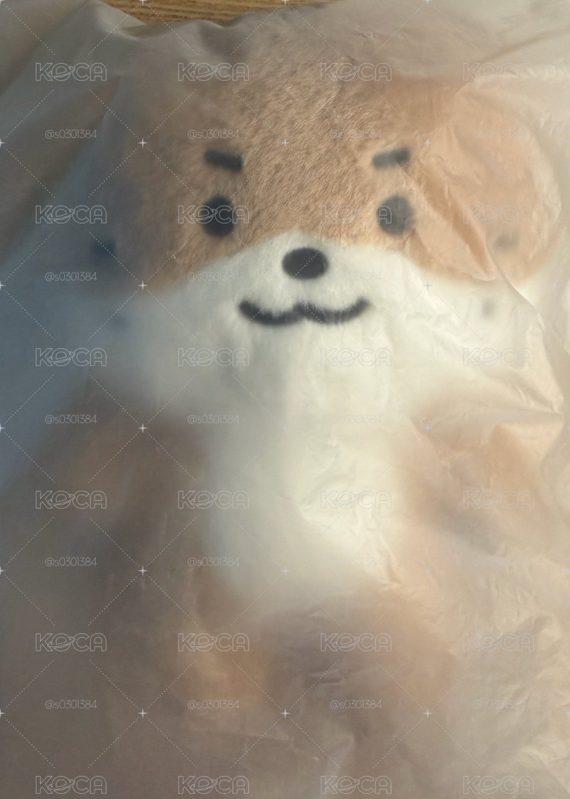燦站娃