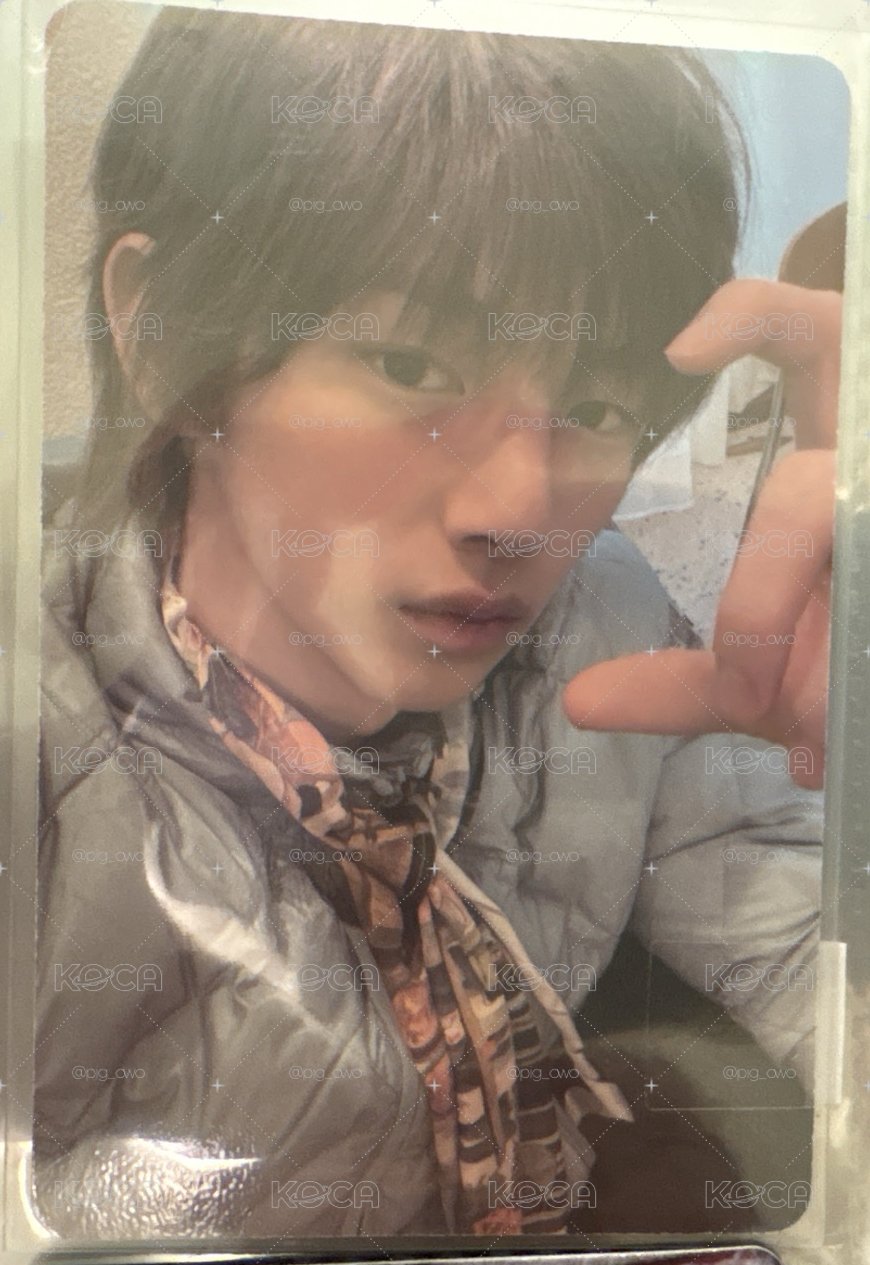 貌美豬豬盤（8張）