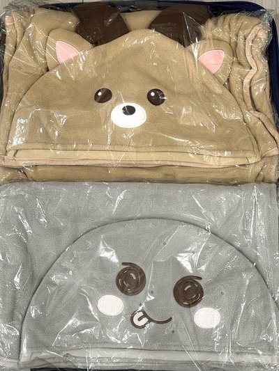 現貨 RIIZE安可後續毛毯