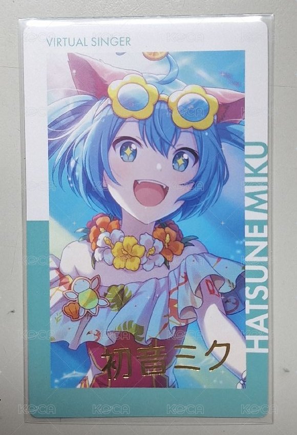 泳裝貓蔥簽