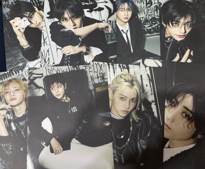 SKZ dominATE高雄場/新加坡場 vip明信片 整套全新未拆