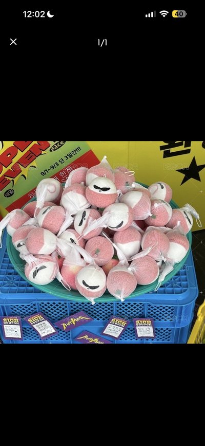 預購區