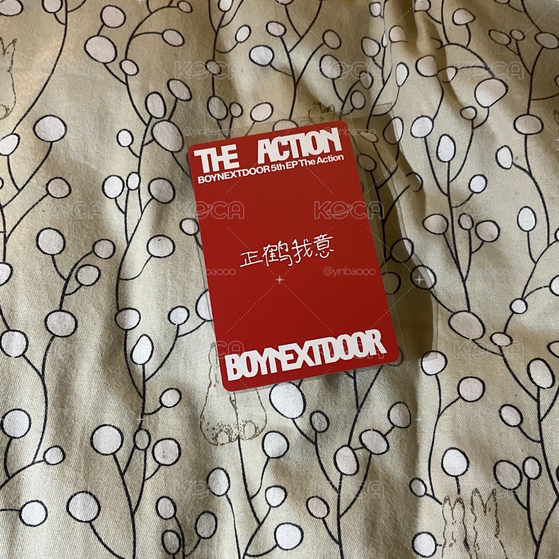 the action yzy1.0 預售 雲鶴
