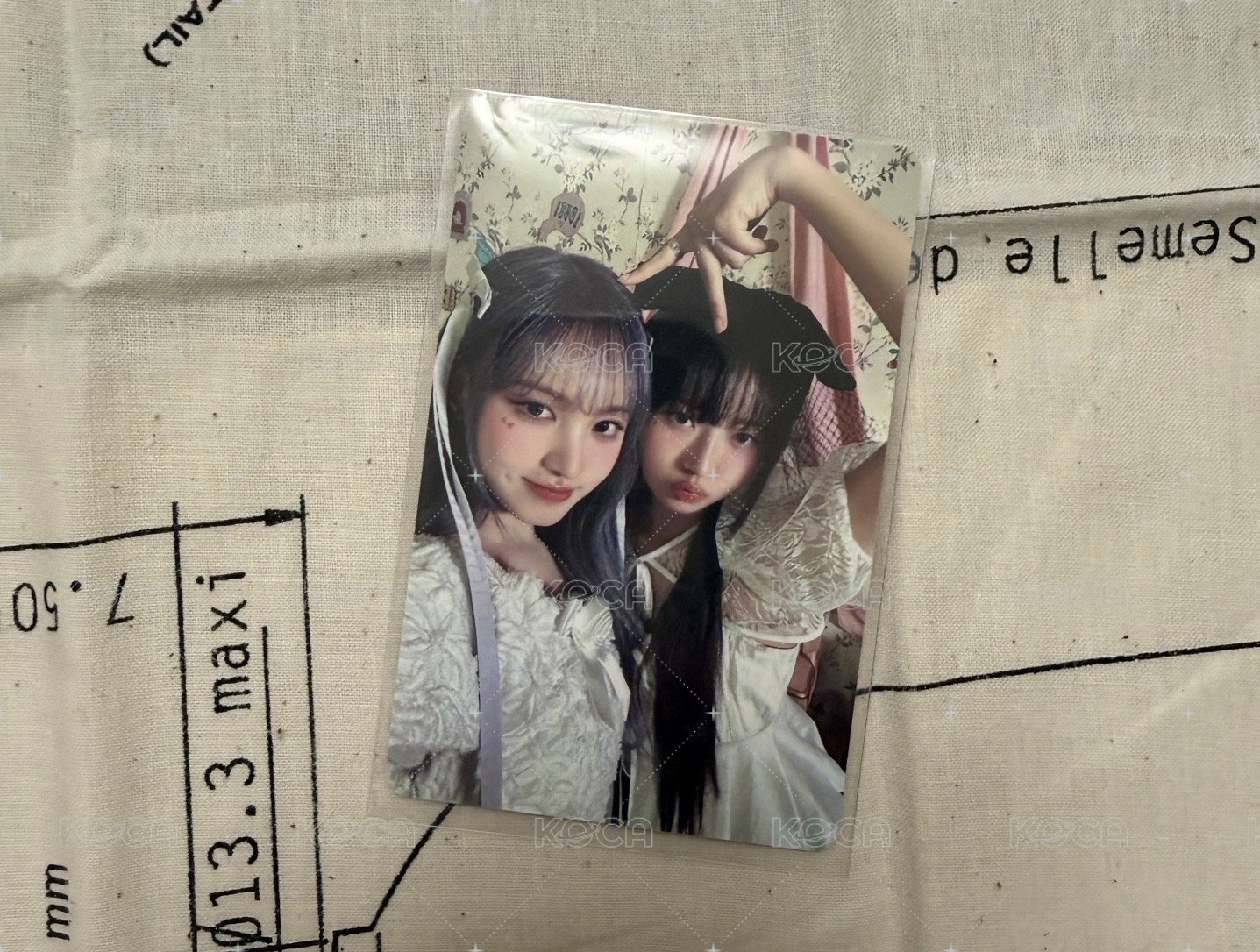 怜栗小公主