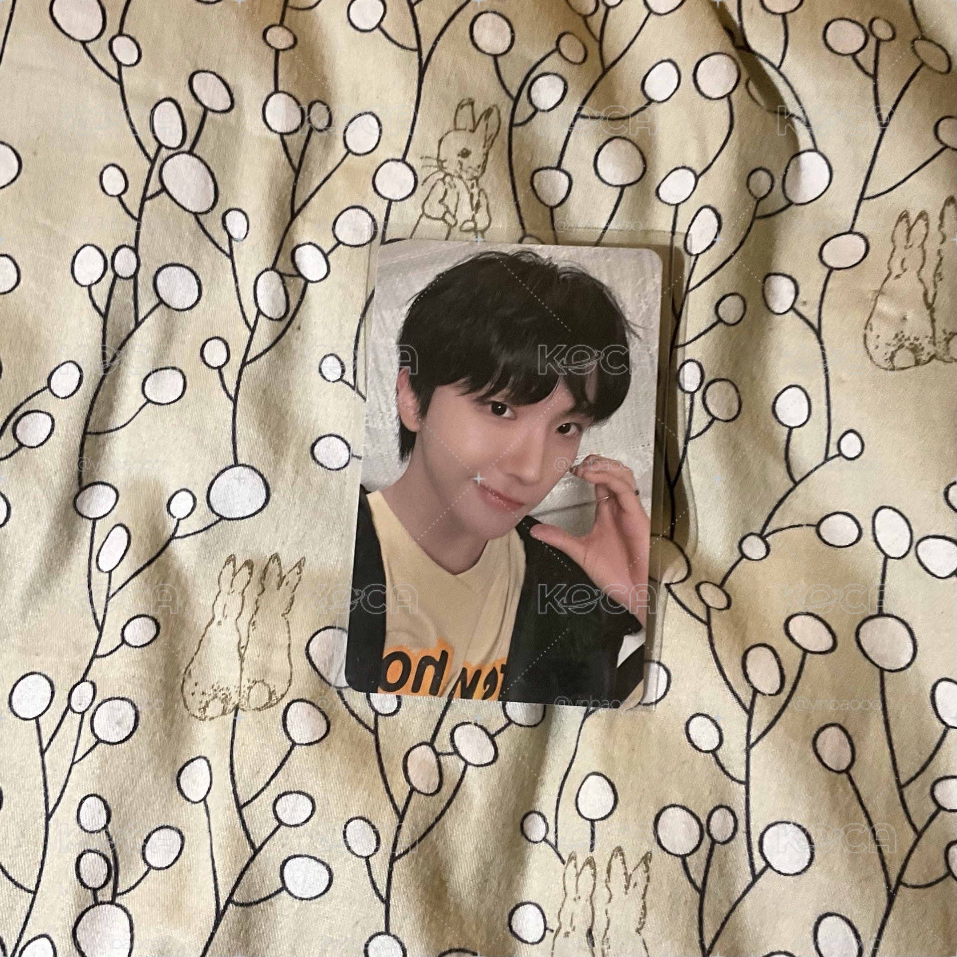 🐻
