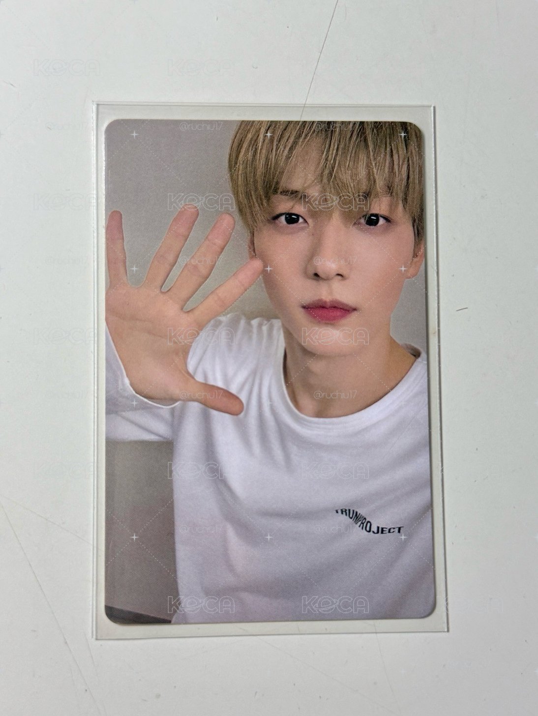 告白彬💌