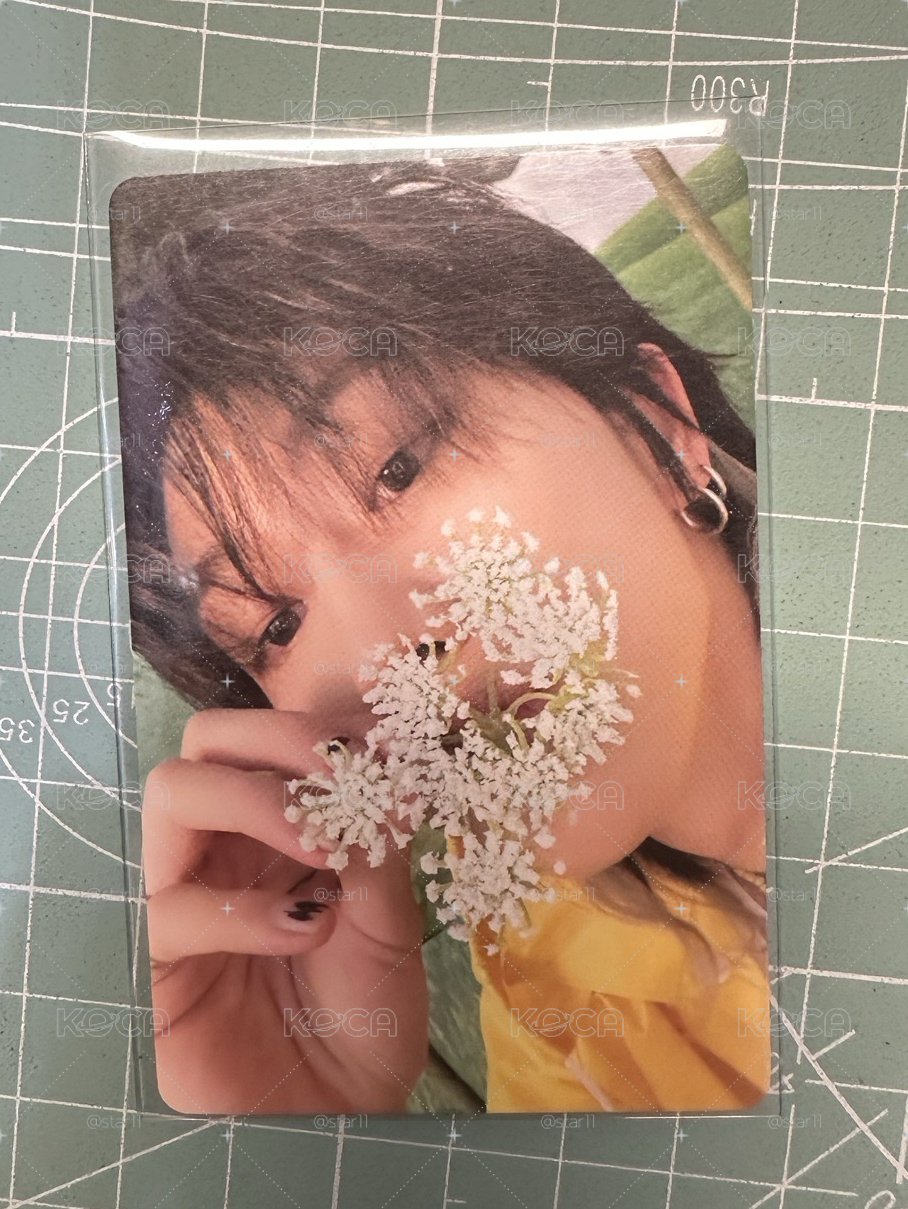 八 迷11 克拉盤 雨衣卡