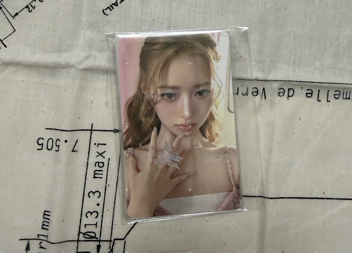 怜一組