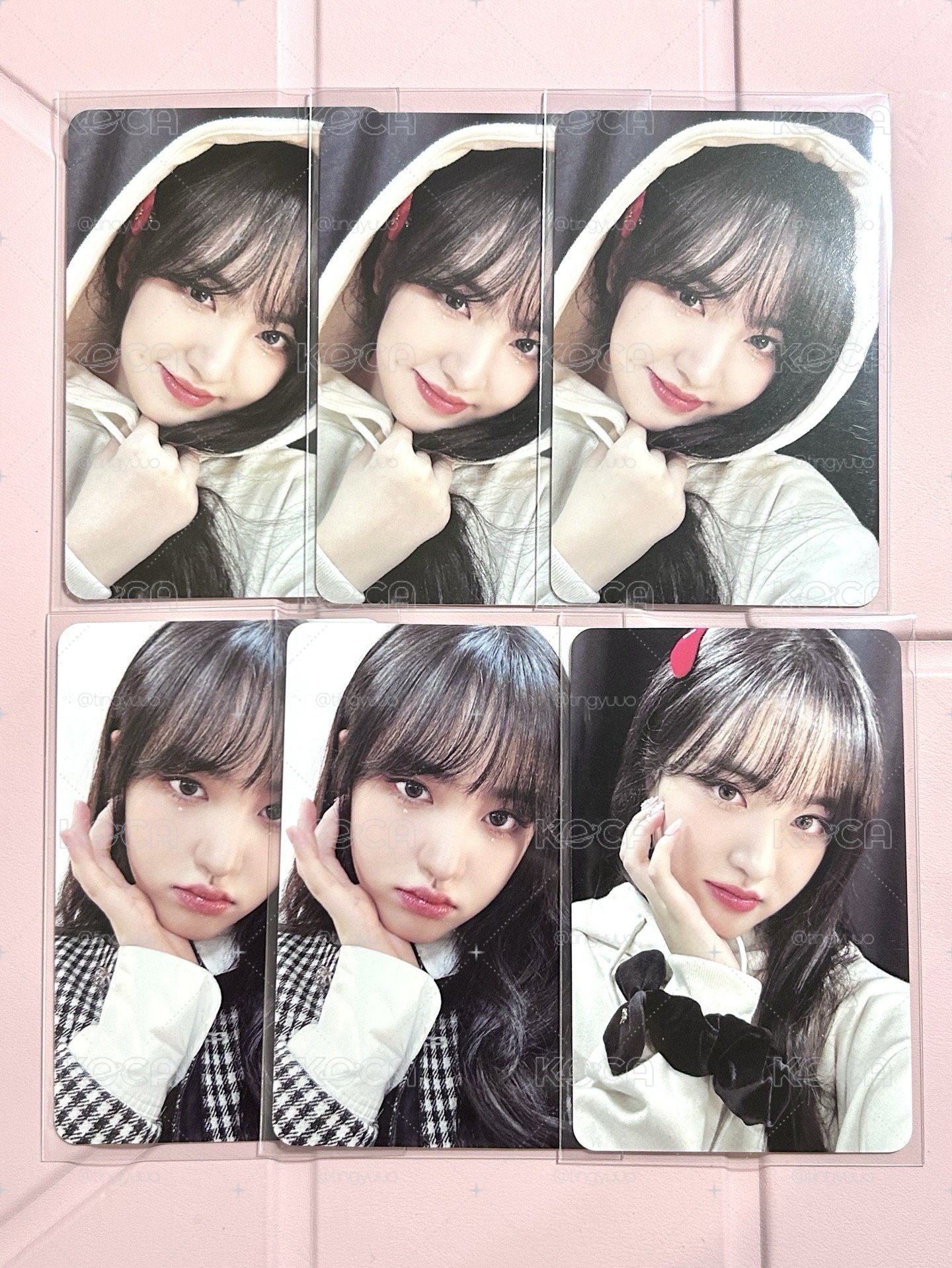 23FC演唱會dvd/cd栗