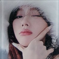 正規二 wvs 預售 磁鐵 