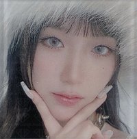 正規二 wvs 預售 磁鐵 