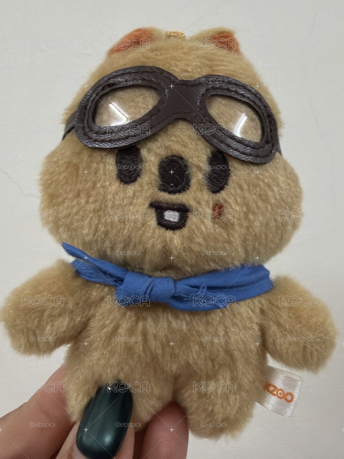 初代娃 飛行娃 韓知城 闊卡