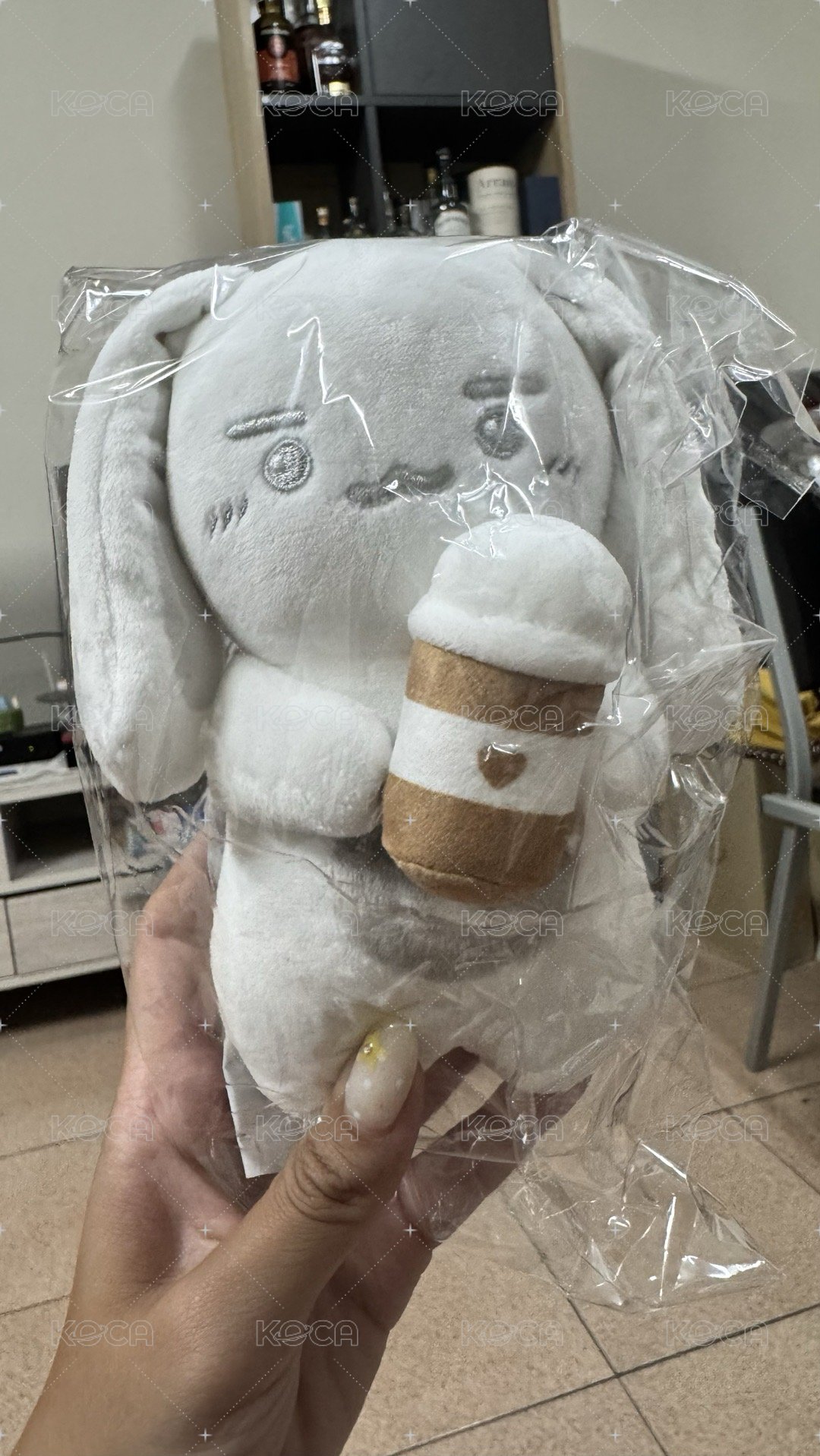 星化小兔🐰