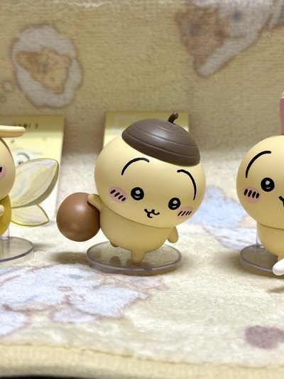 橡果帽兔