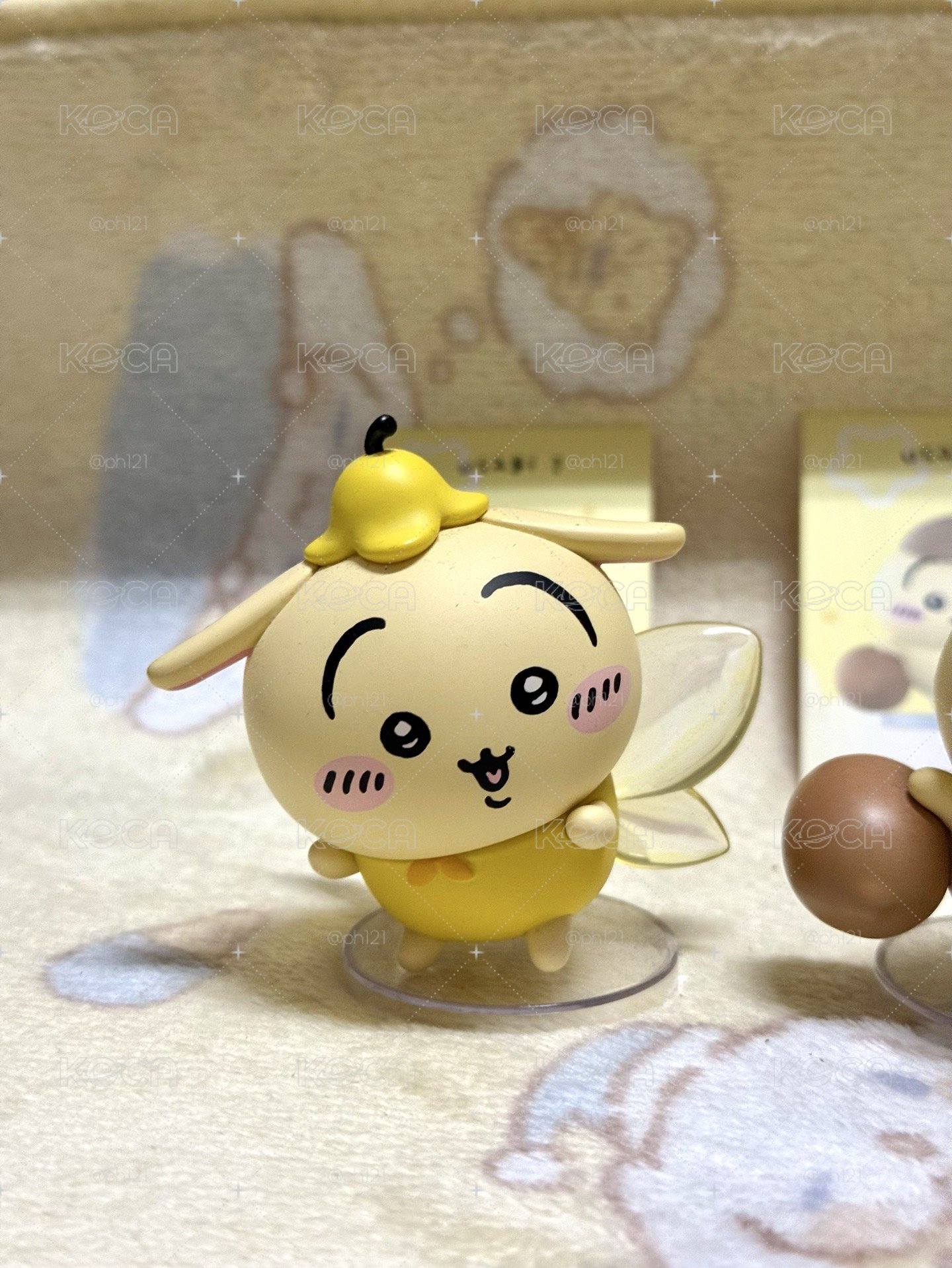 飛飛兔