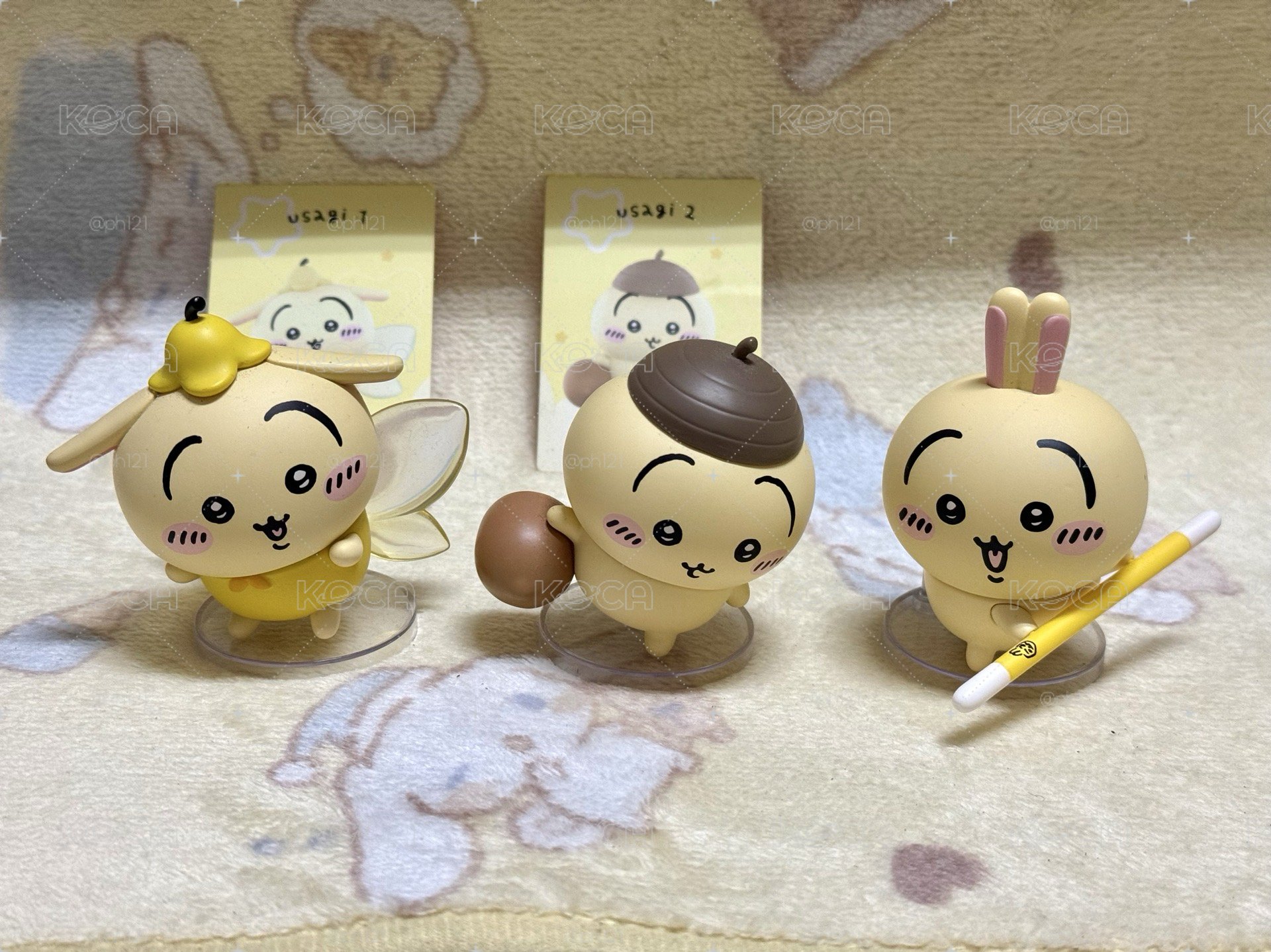 飛飛兔