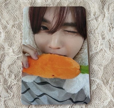 數星星中背🐰🐦+茉莉奶白代言卡🐶