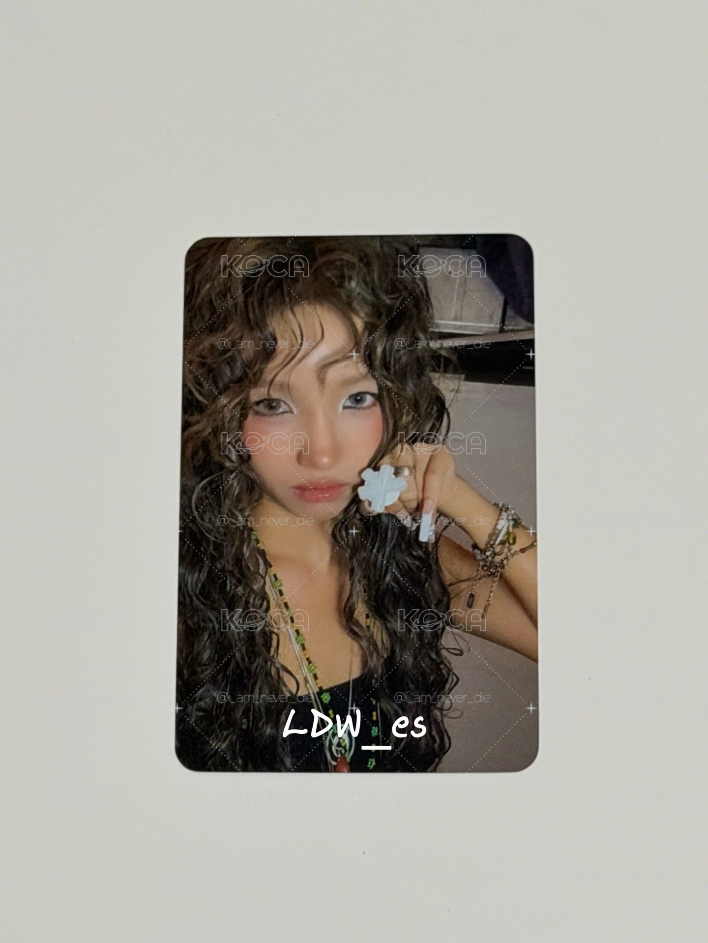 小娟打歌卡