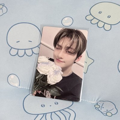 🍞TWS 迷三 yzy 告白薫