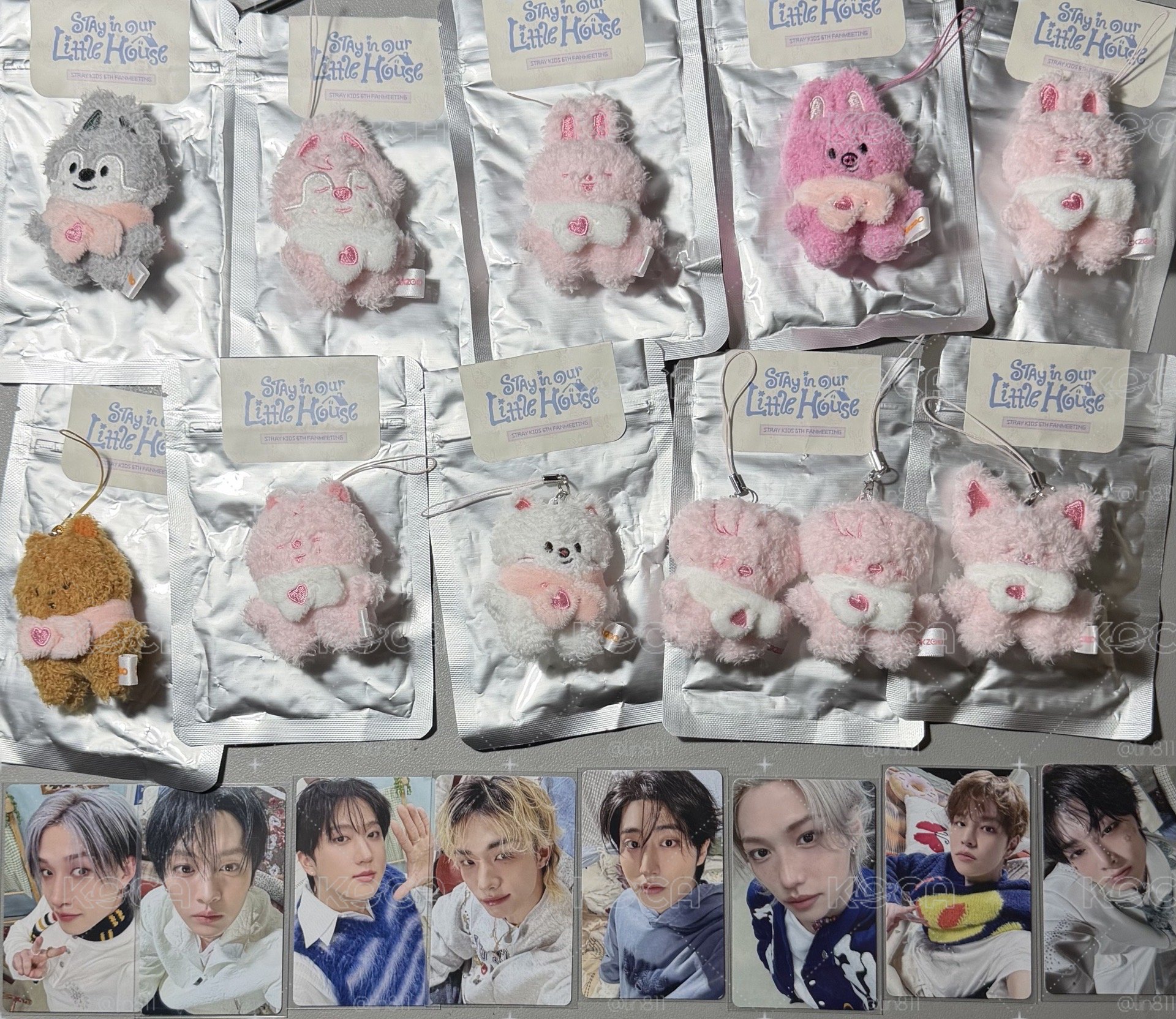 Straykids 6th 飯咪周邊 現貨