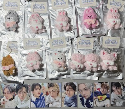Straykids 6th 飯咪周邊 現貨
