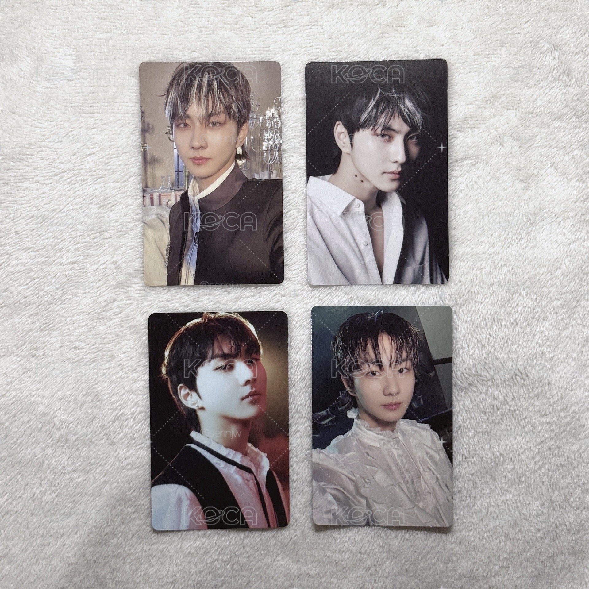 黑血小貓