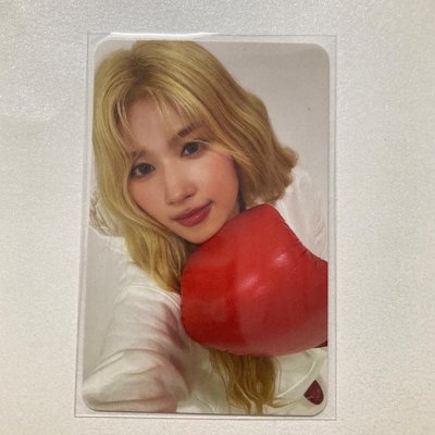 Strategy專卡多賢、sana 