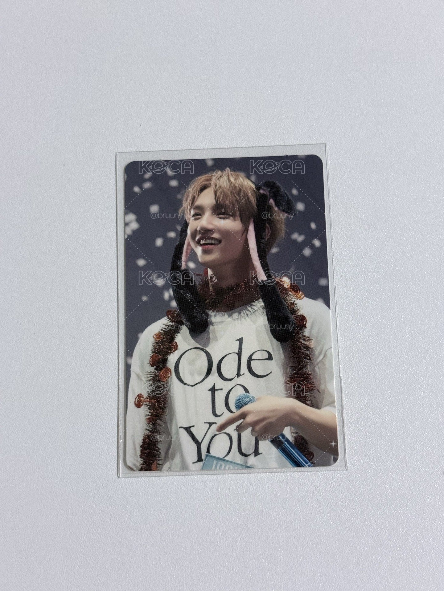Ode to you 兔刷