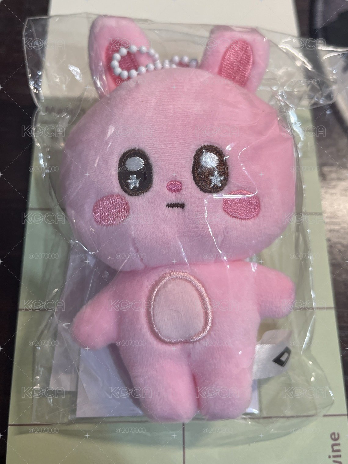 簡志恩 娃娃