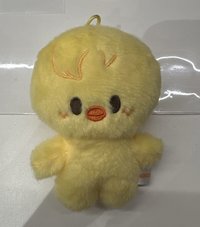 無領巾無吊牌無原裝袋