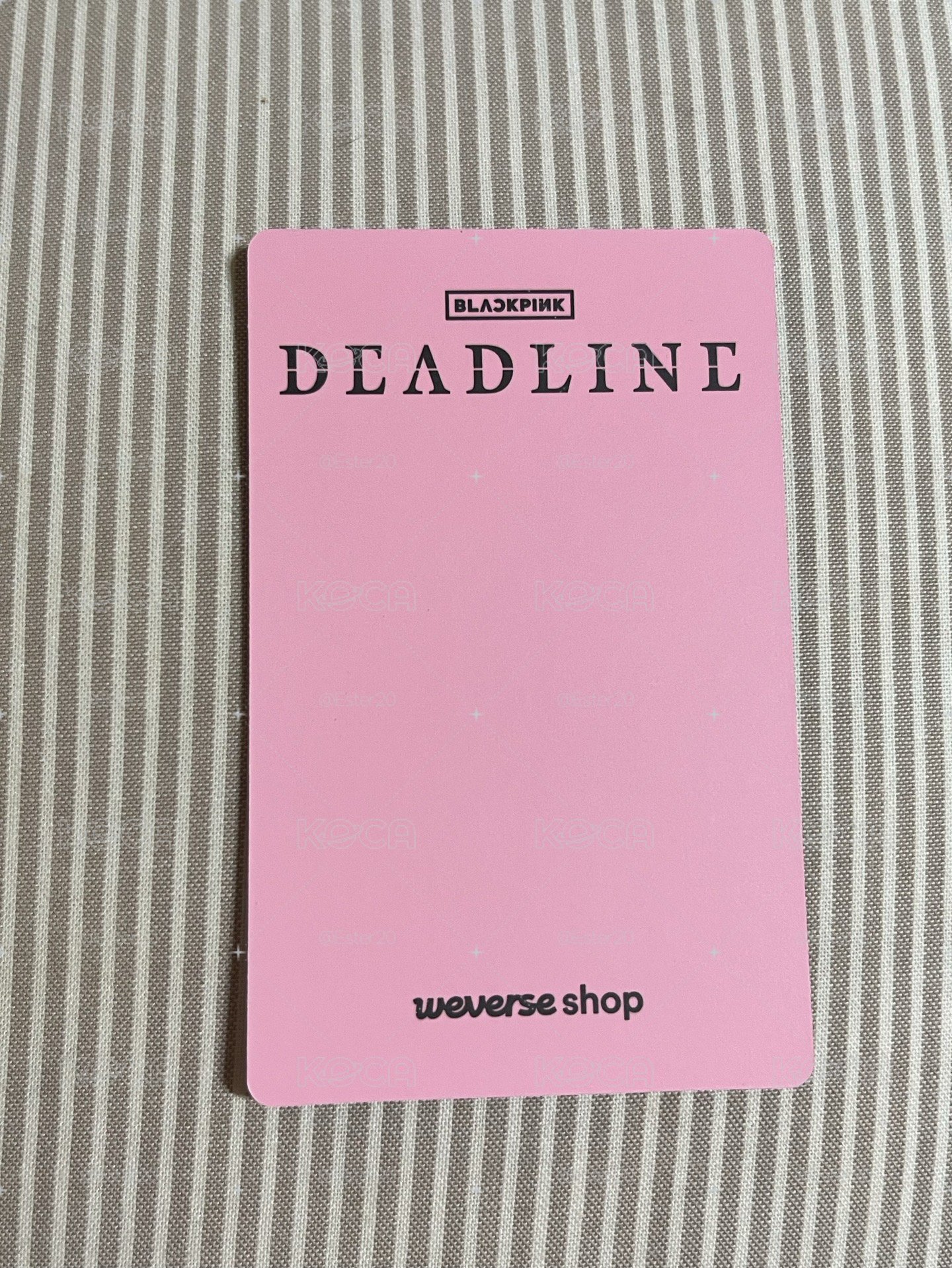 Lisa 小卡DEADLINE wvs  特典卡 