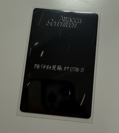 SEVENTEEN 奎 中背卡