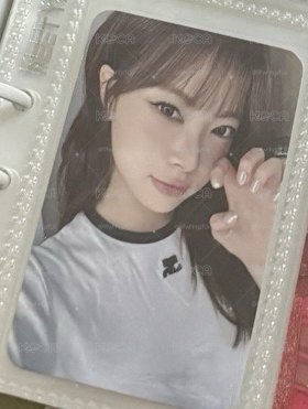 Hello82貓抓採