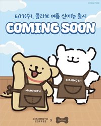Mammoth Coffee x 線條小狗