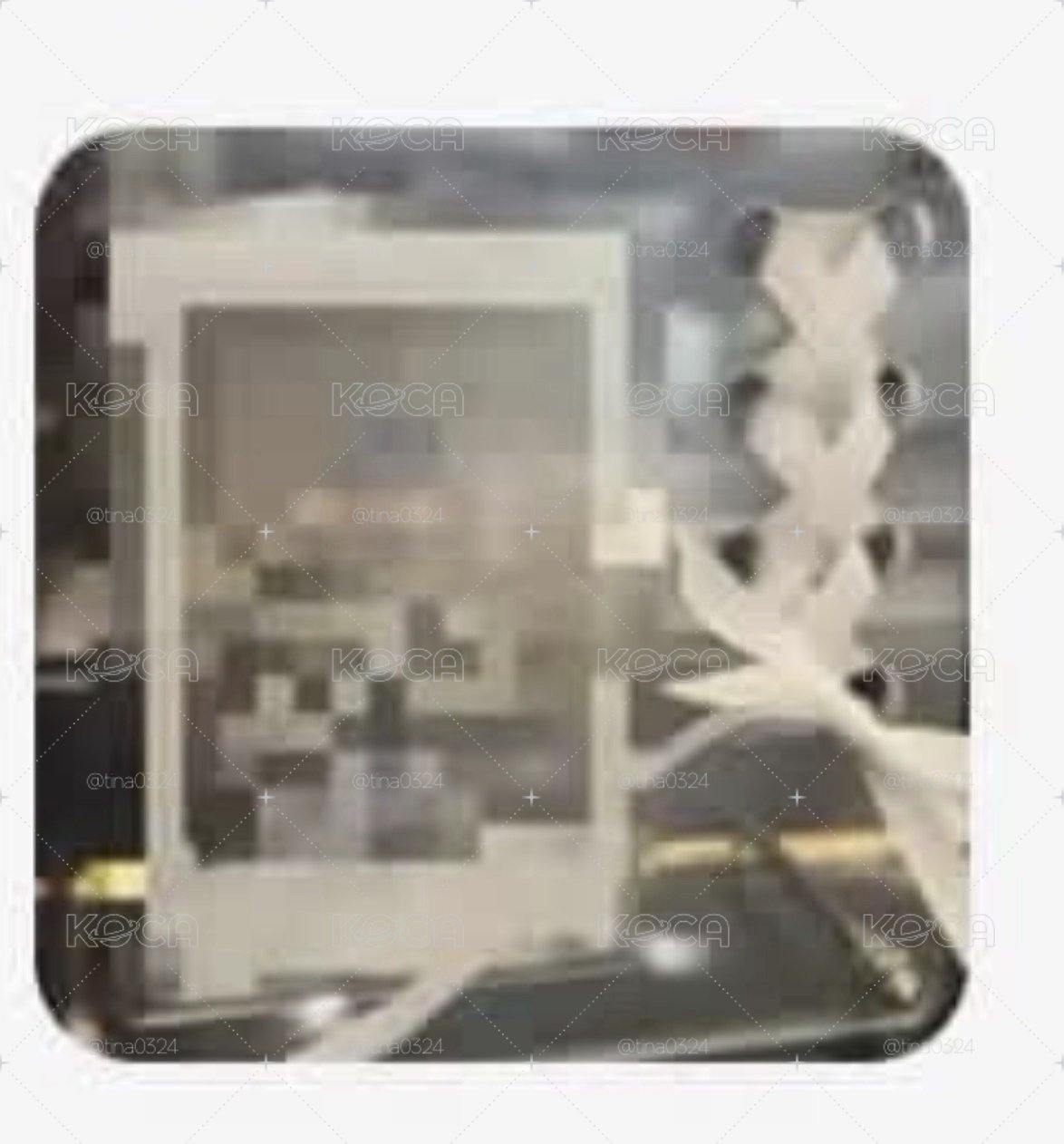 崔立于半公開親簽拍立得（魚糕官方有公布部分澳門親簽拍，如圖二）