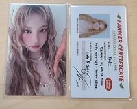 琦