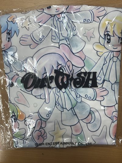 (現貨)一巡安可 帆布袋 無卡 