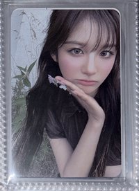 BV 薛1