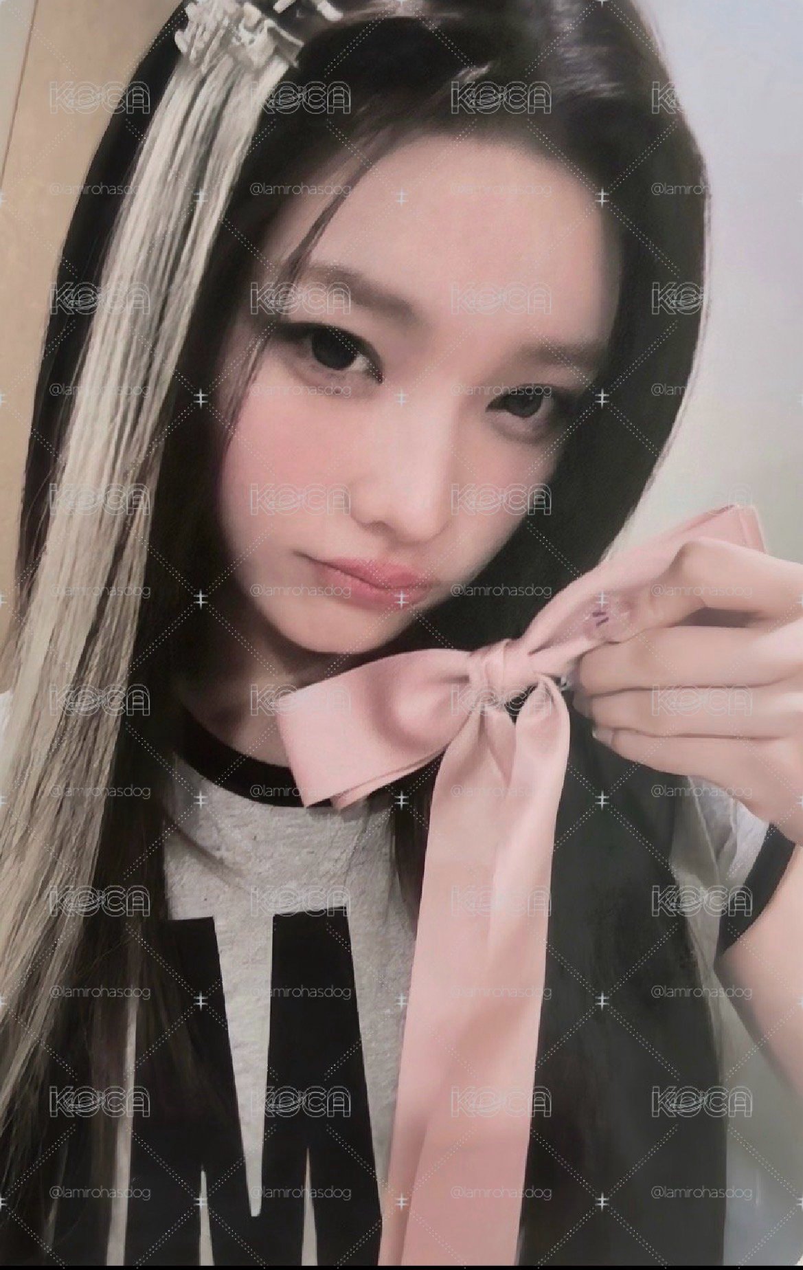 蝴蝶結🎀羽