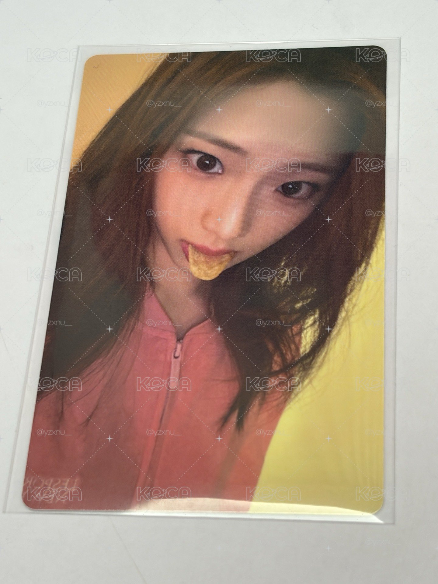 Weverse單封預售特典