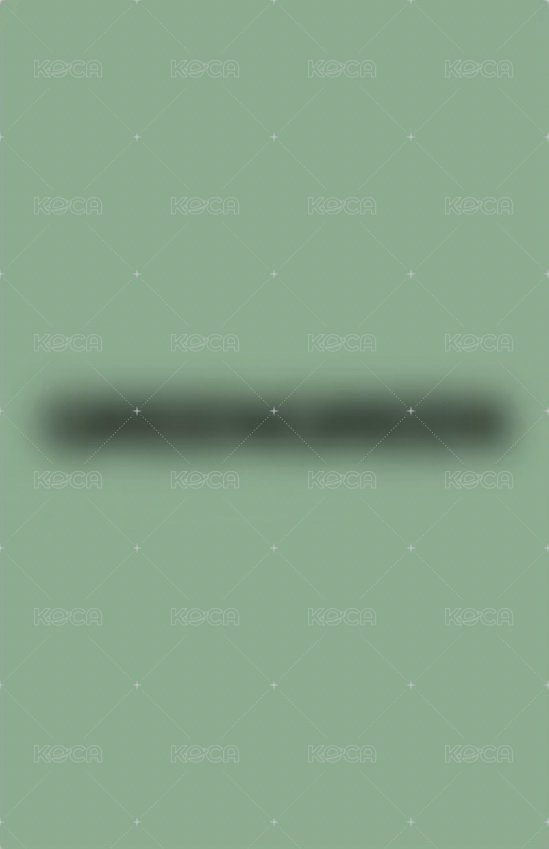 迷二 yzy 5.0 幸運卡  背面