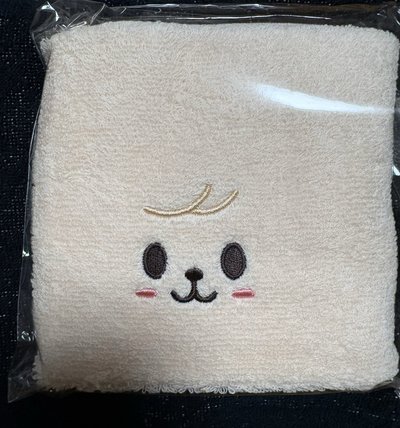 stray kids 六期fm入場禮