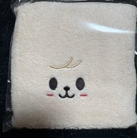 玟毛巾