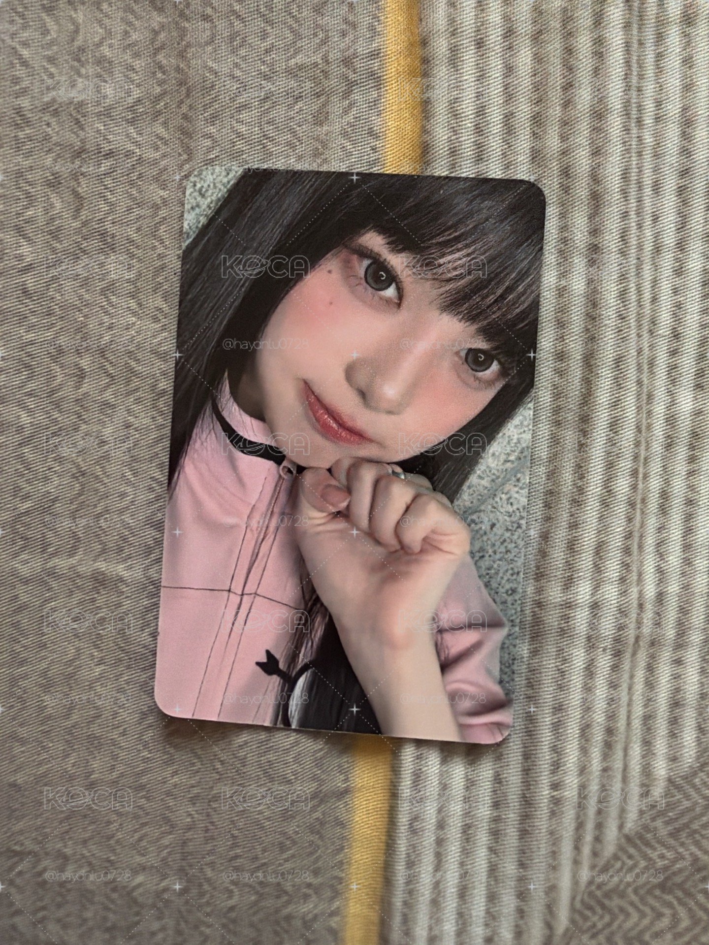 現貨當日出貨/Focus mr 簽售卡 Ian
