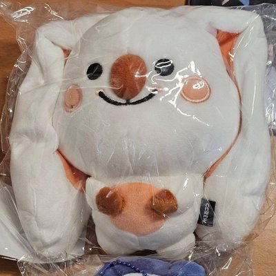 扁娃 姜+原皮 徐